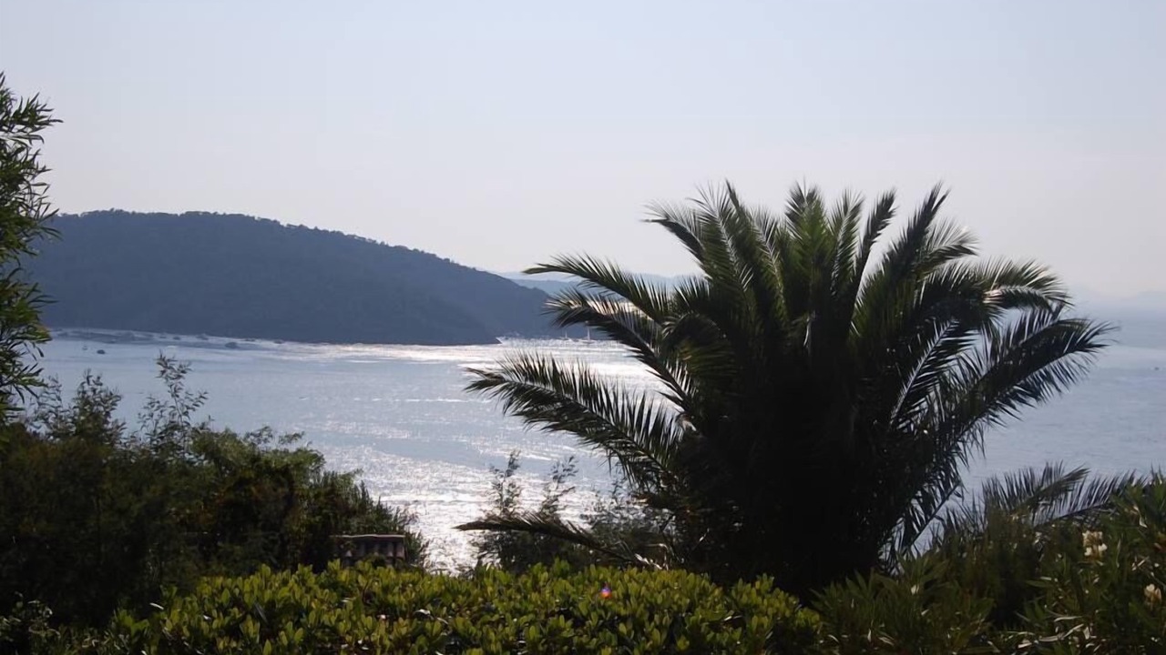 Photo of Others in Ile du Levant
