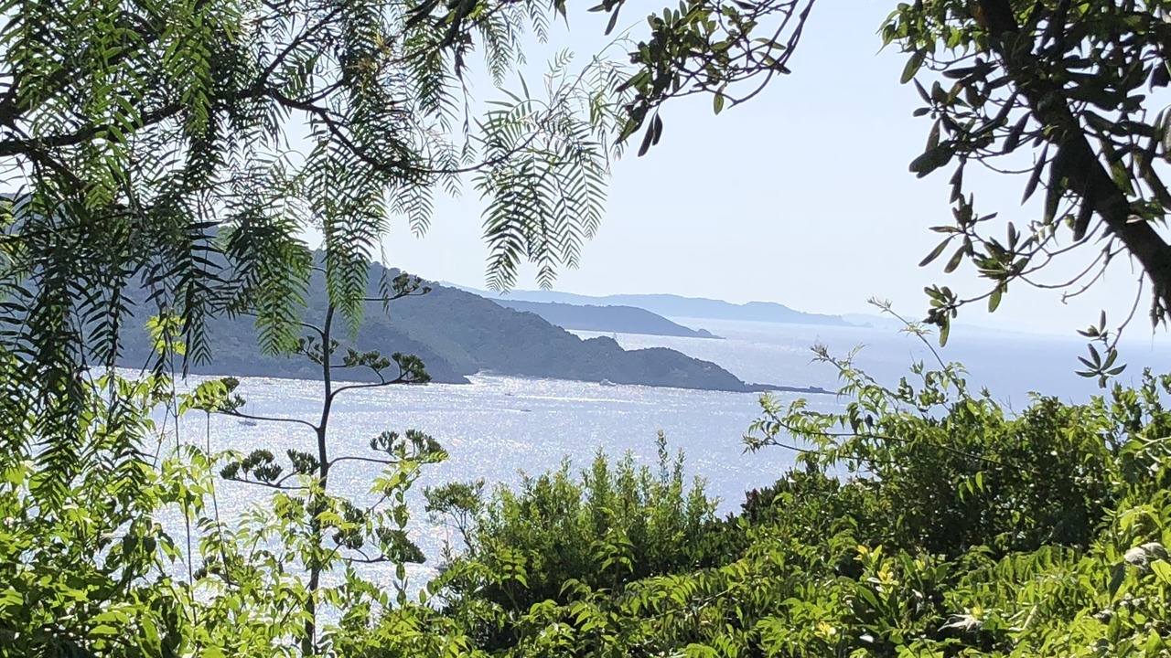 Photo of Others in Ile du Levant