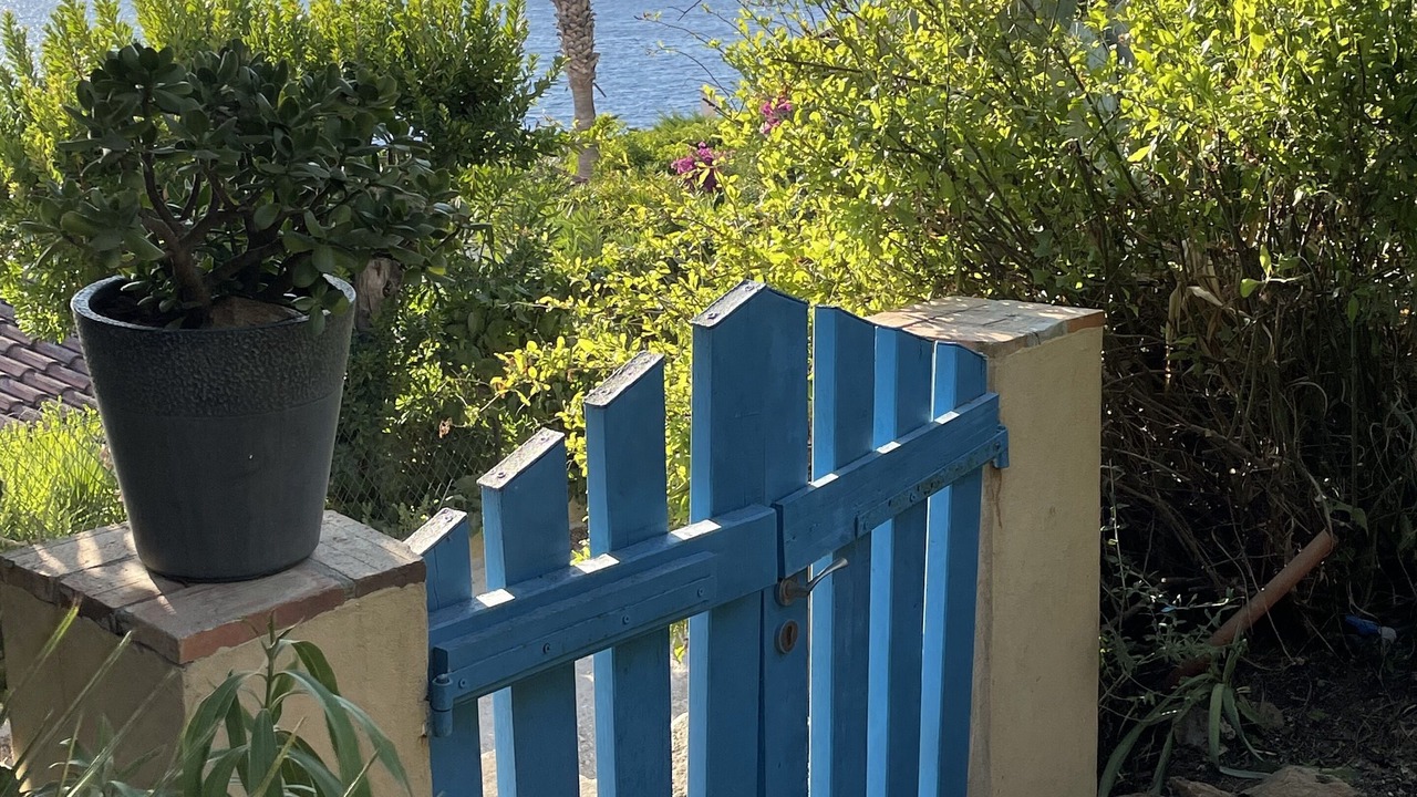 Photo of Outdoor in Ile du Levant