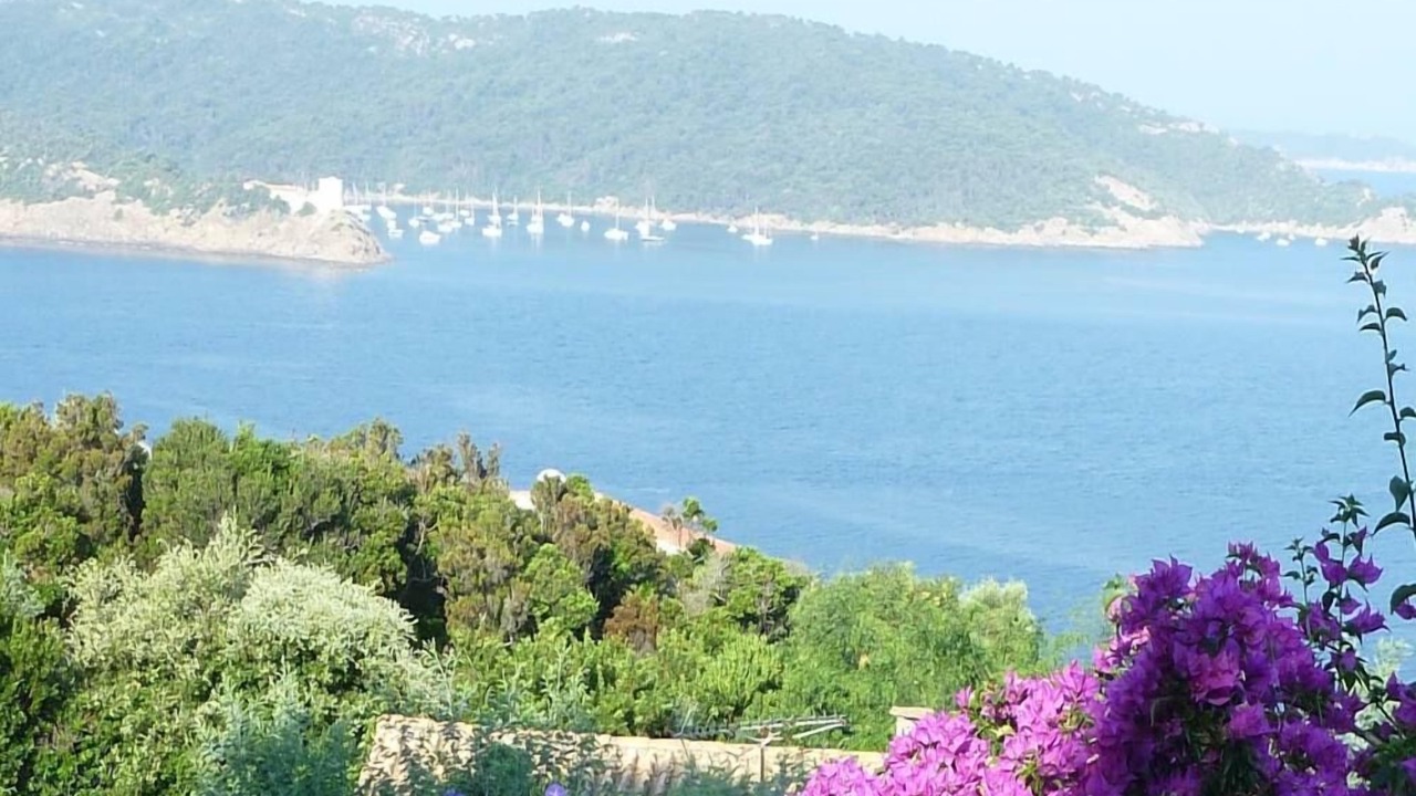 Photo of Others in Ile du Levant