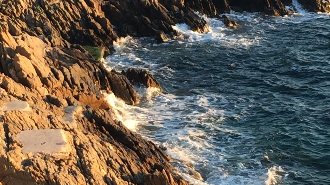 Photo of Others in Ile du Levant