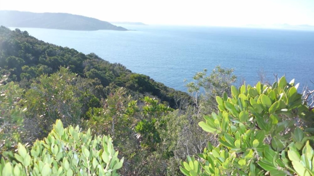 Photo of Others in Ile du Levant