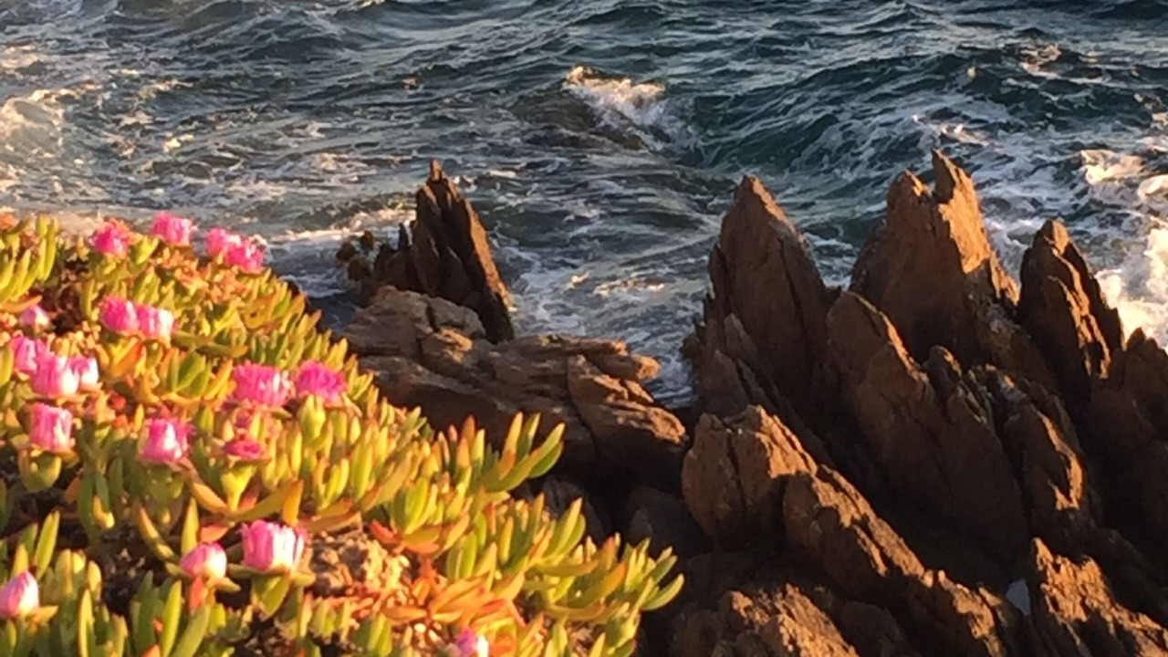 Photo of Others in Ile du Levant
