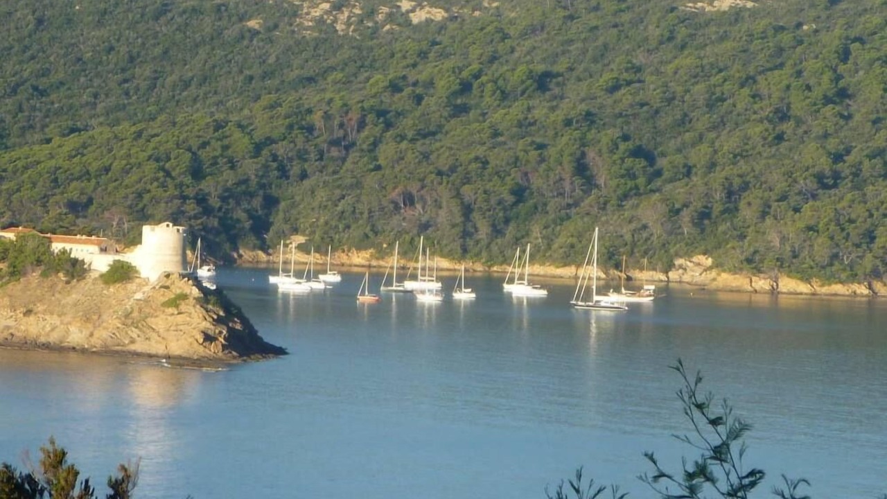 Photo of Others in Ile du Levant