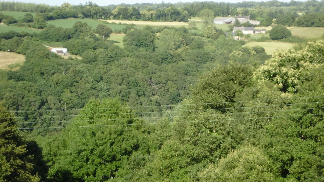 Photo of Others in Plounevez-Moedec