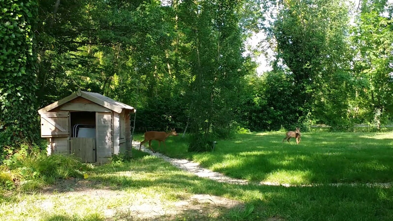 Photo of Outdoor in Droyes