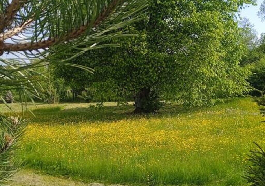 Photo of Outdoor in Mauvages