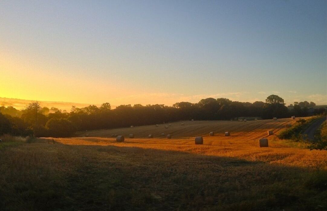 Photo of Outdoor in Plouguenast