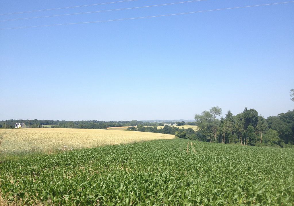 Photo of Others in Plouguenast