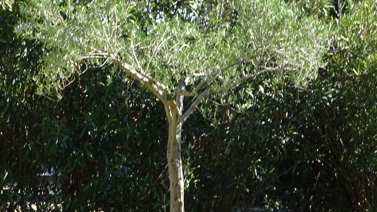 Photo of Outdoor in Saint-Gilles