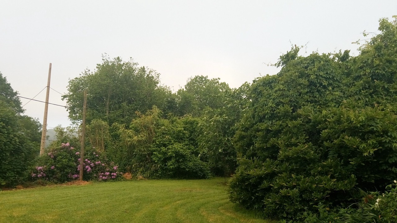 Photo of Outdoor in Saint-Thelo