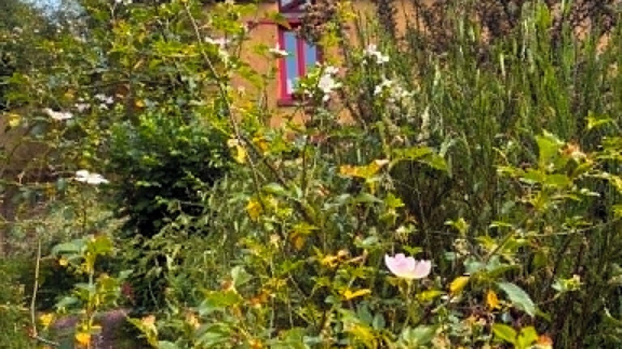 Photo of Outdoor in Saint-Meen-le-Grand