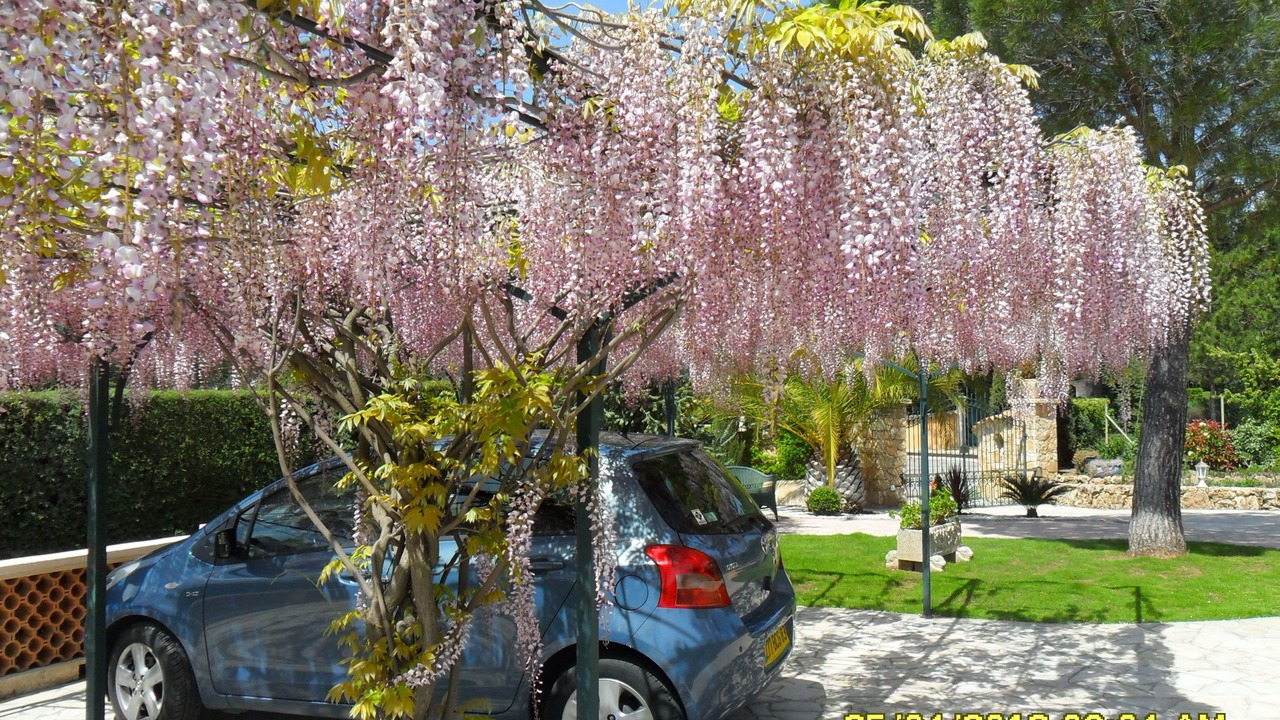 Photo of Outdoor in La Bouverie