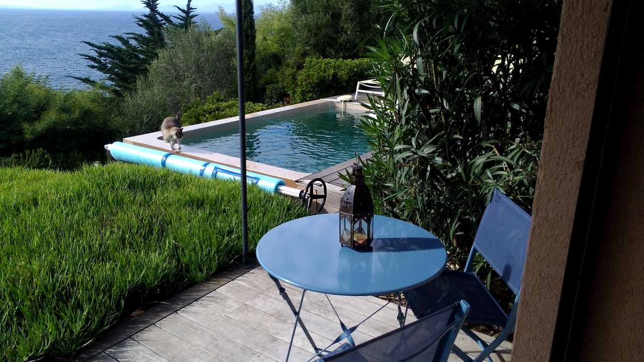 Photo of Outdoor in Ile du Levant