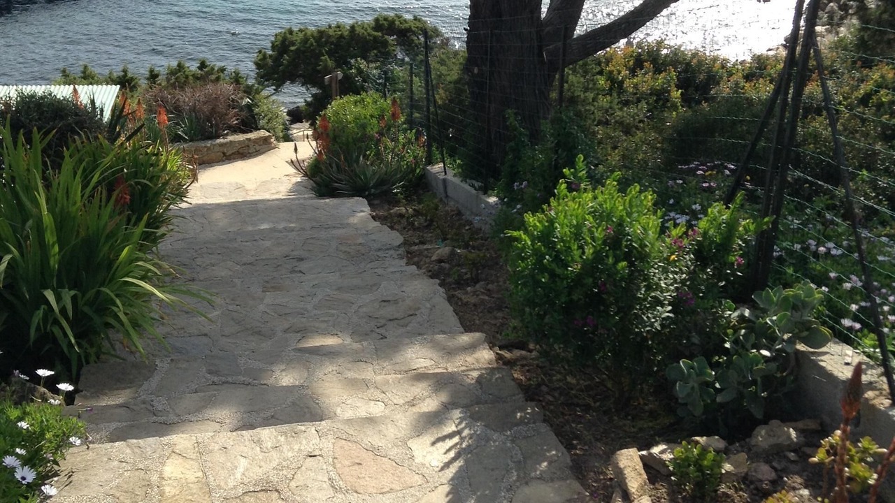 Photo of Outdoor in Ile du Levant