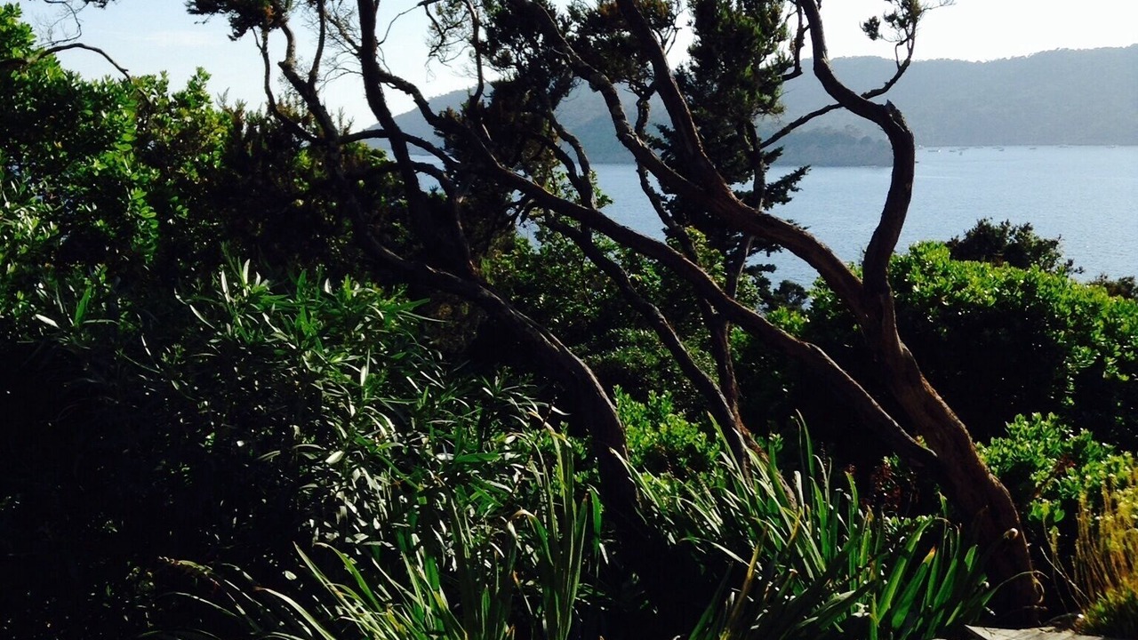 Photo of Outdoor in Ile du Levant