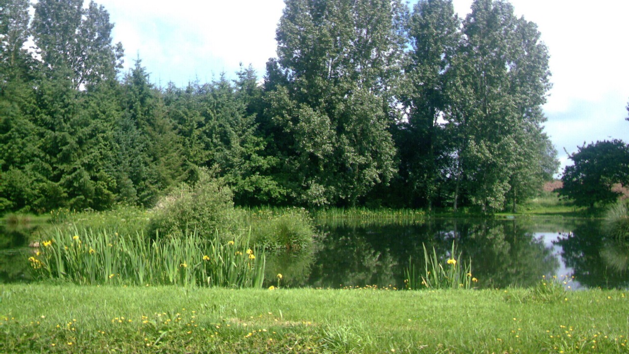 Photo of Outdoor in Landehen