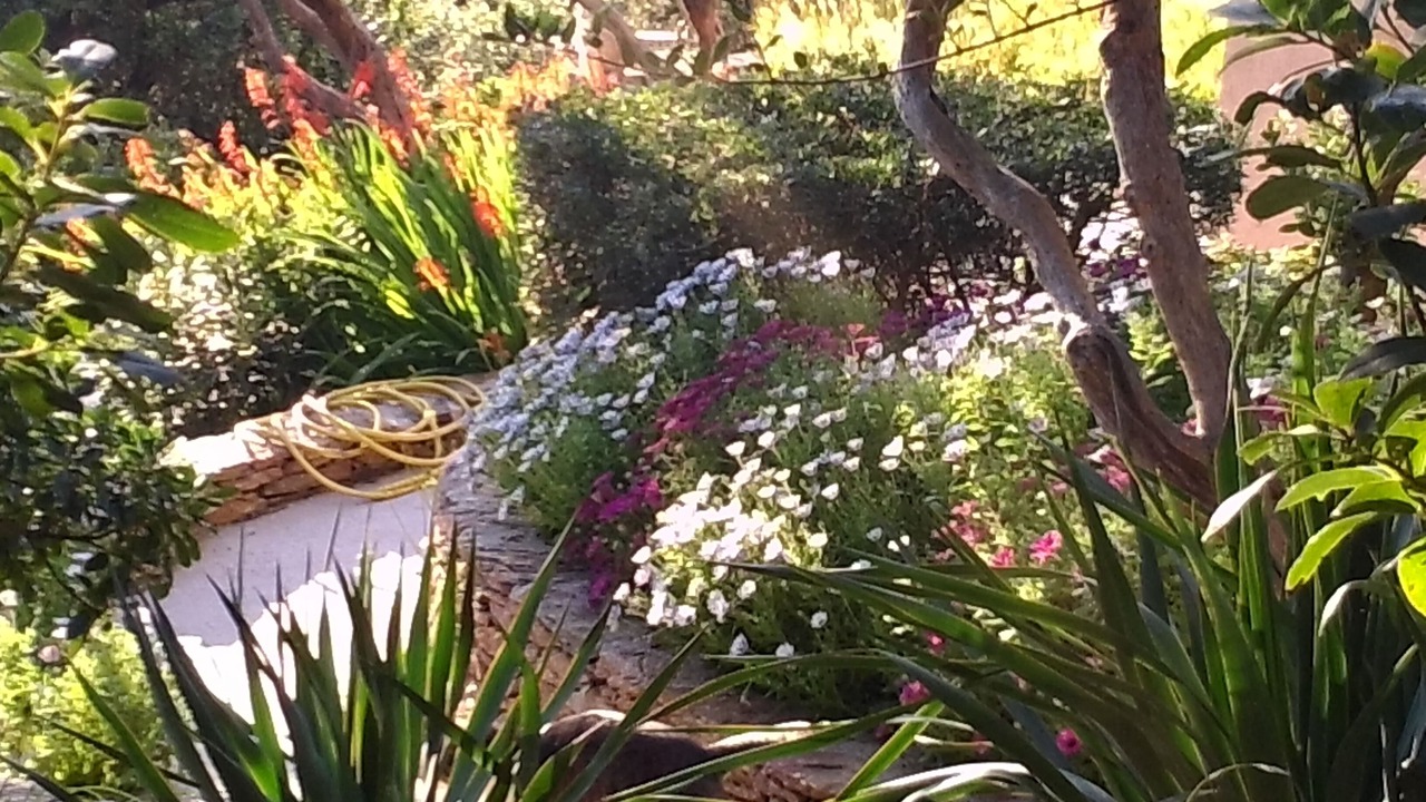 Photo of Outdoor in Ile du Levant