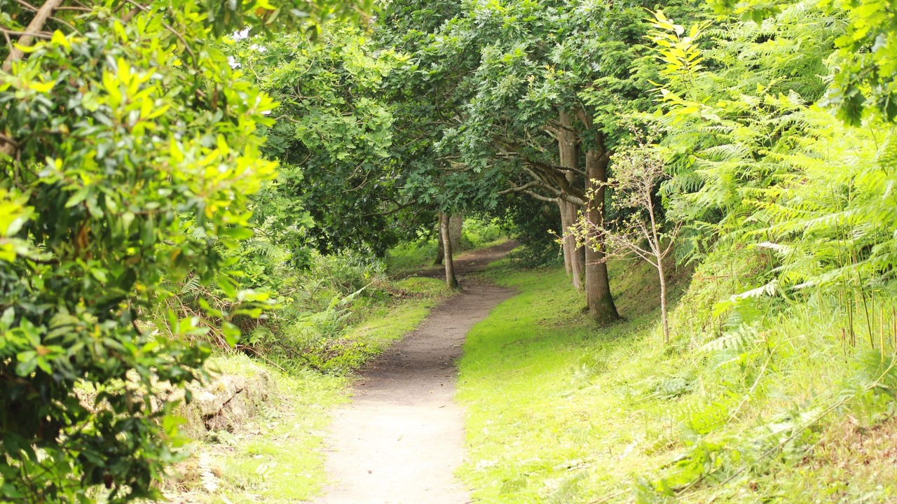 Photo of Outdoor in Plestin-les-Greves
