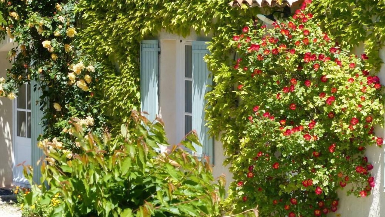 Photo of Outdoor in Moustiers-Sainte-Marie
