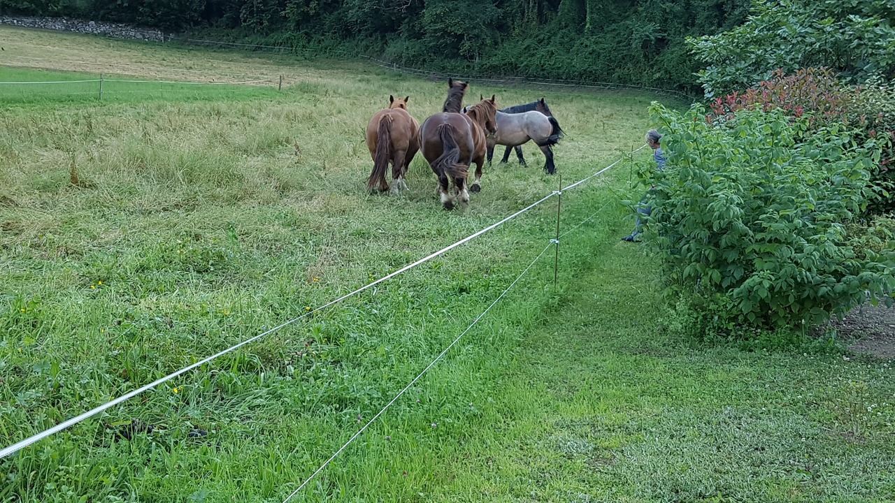 Photo of Outdoor in Gere-Belesten