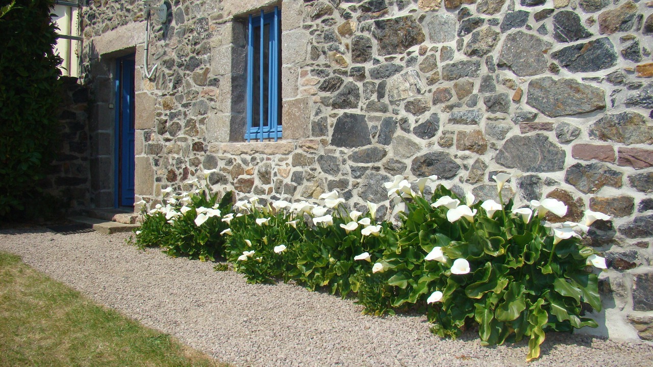 Photo of Outdoor in Henanbihen