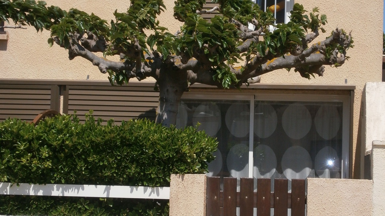 Photo of Outdoor in Valras-Plage