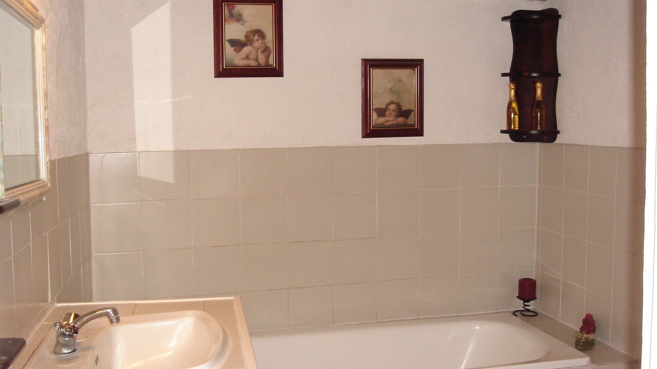 Photo of Bathroom in Evran