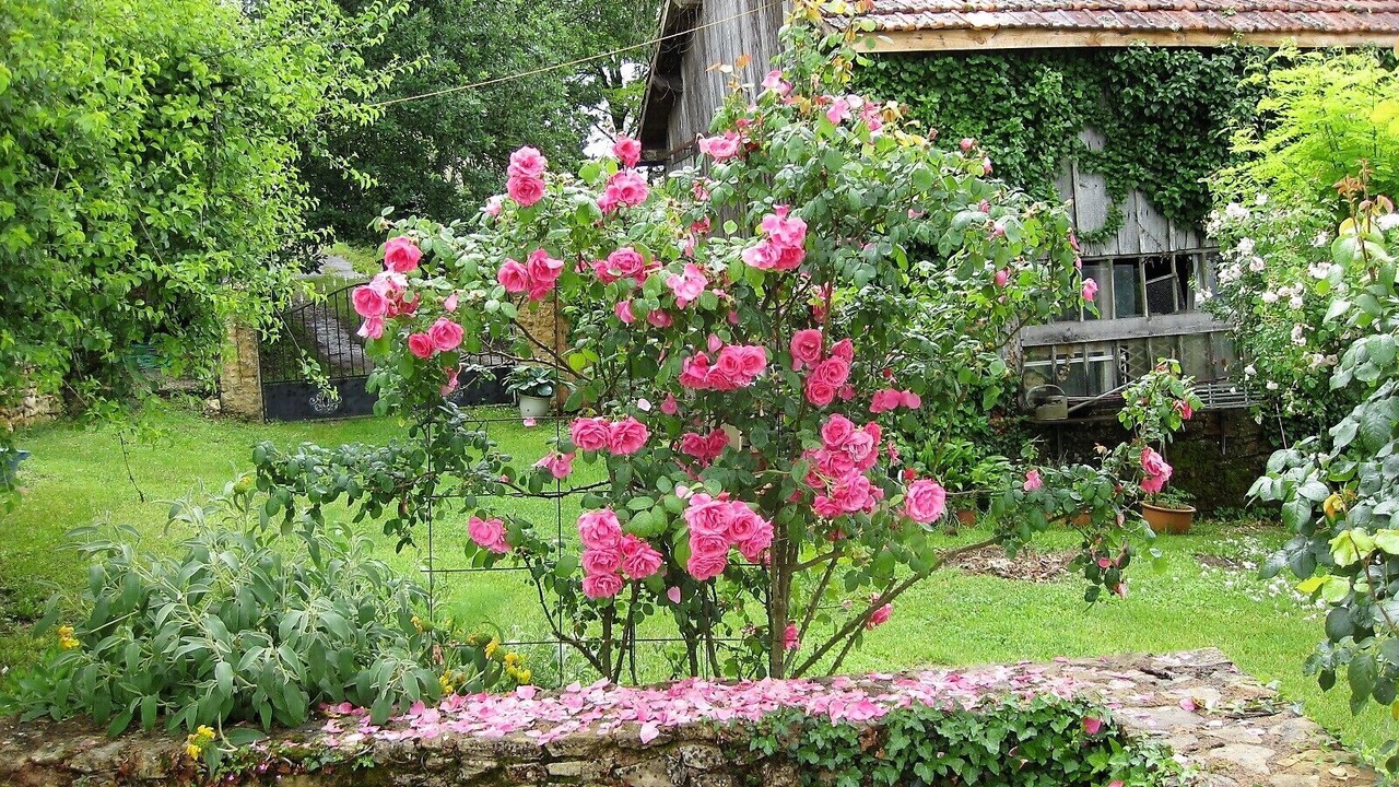 Photo of Outdoor in Tremolat