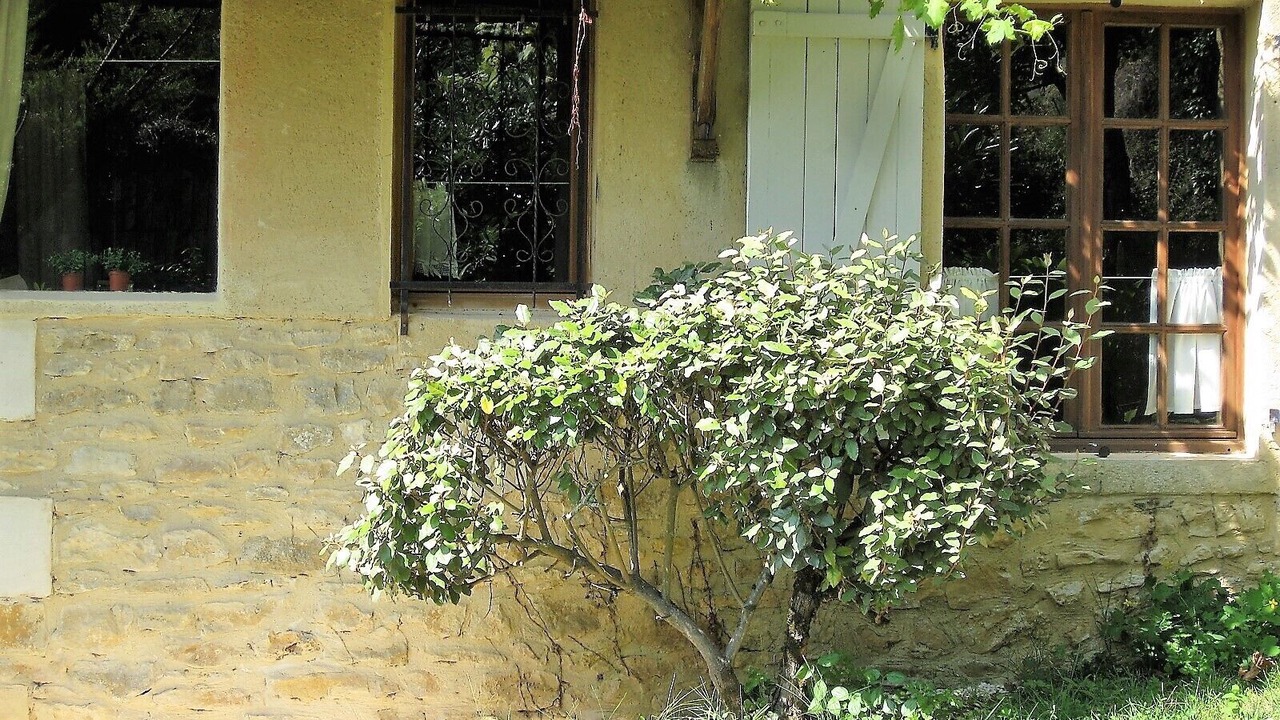 Photo of Outdoor in Tremolat