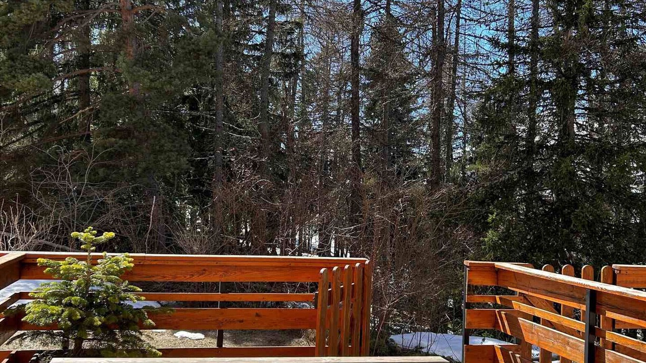 Photo of Outdoor in La Joue du Loup