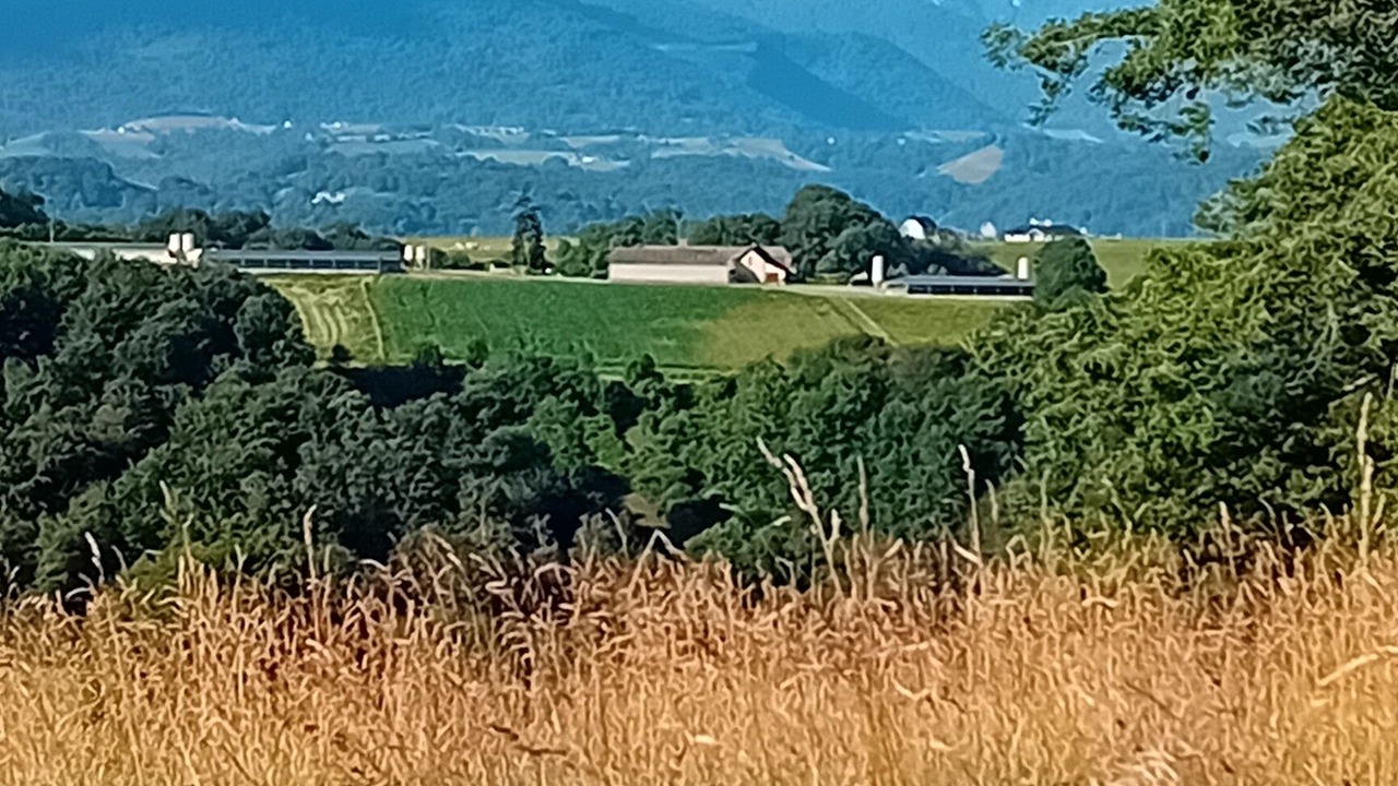 Photo of Outdoor in Saint-Vincent