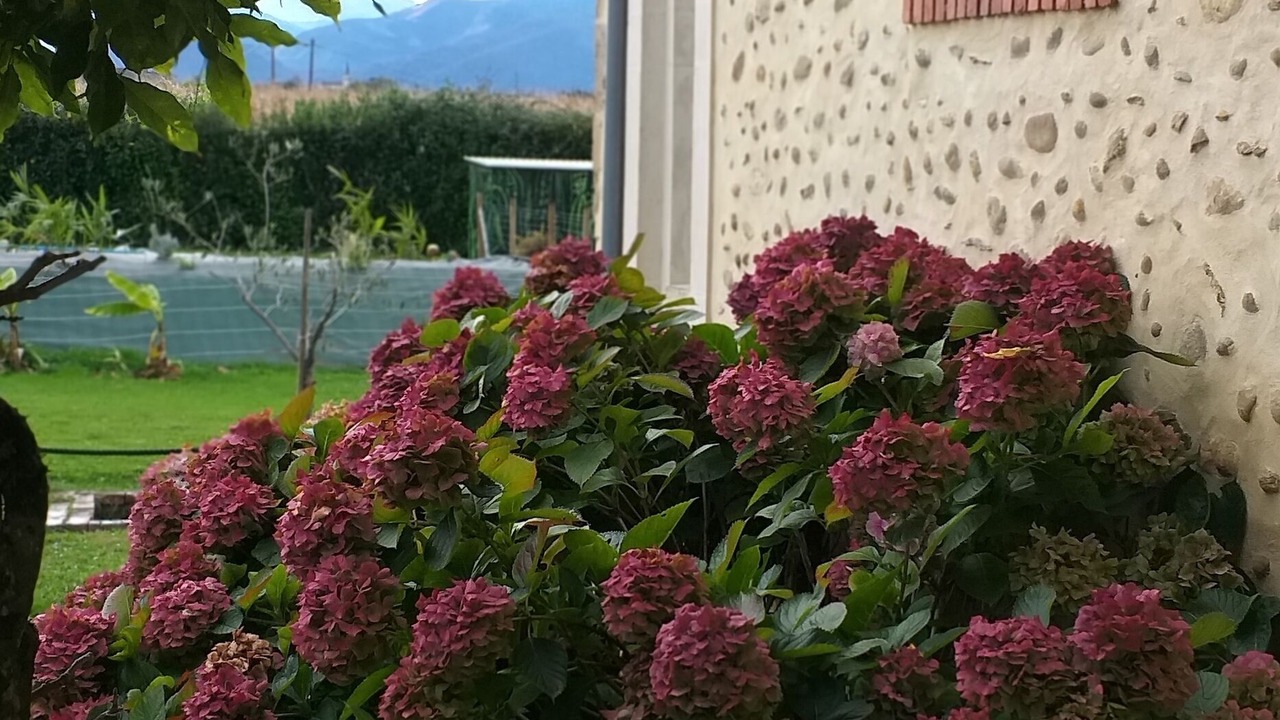 Photo of Outdoor in Saint-Vincent