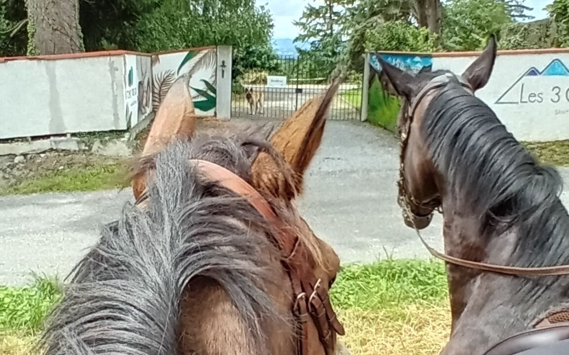 Photo of Outdoor in Saint-Vincent