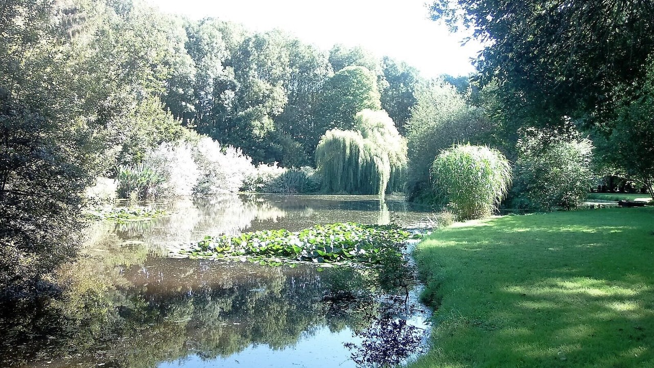 Photo of Outdoor in Pommerit-le-Vicomte