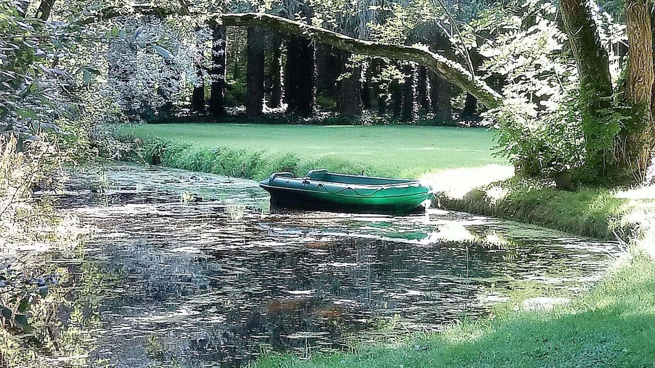Photo of Others in Pommerit-le-Vicomte