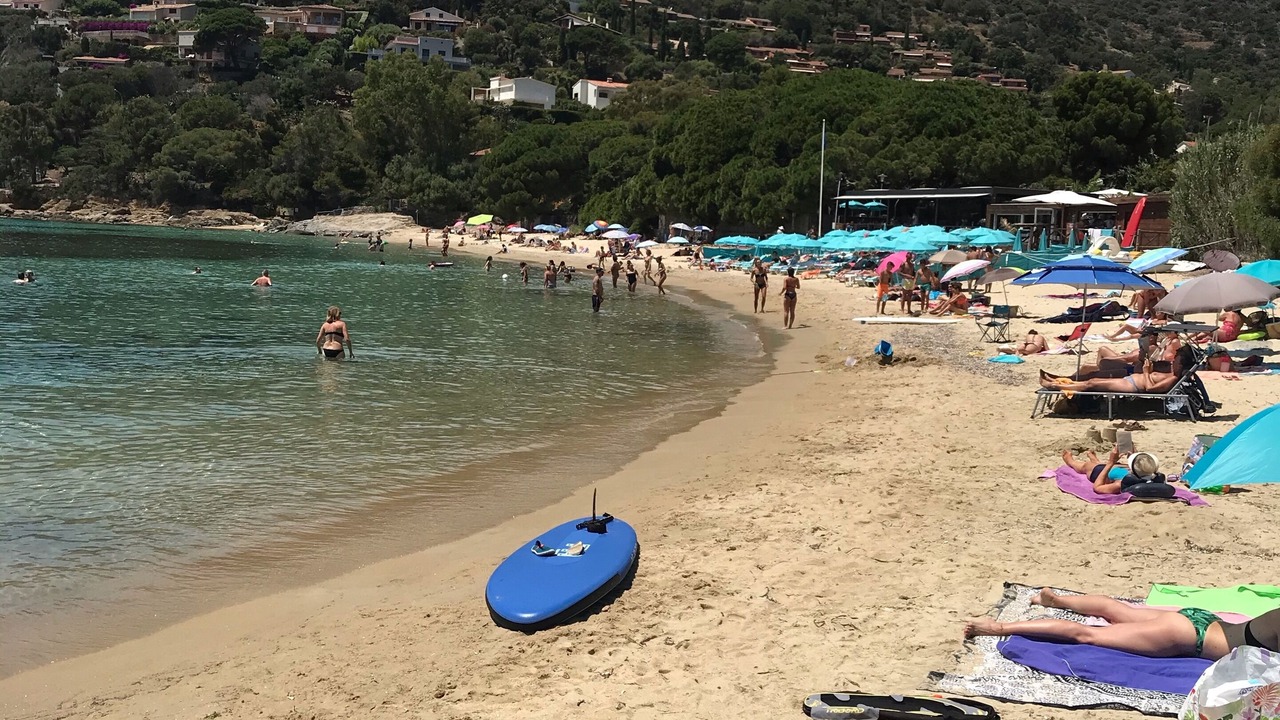 Photo of Others in Le Lavandou