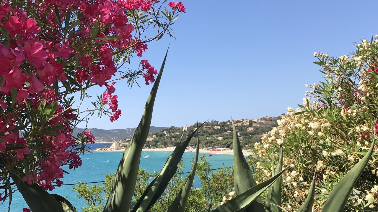 Photo of Others in Le Lavandou