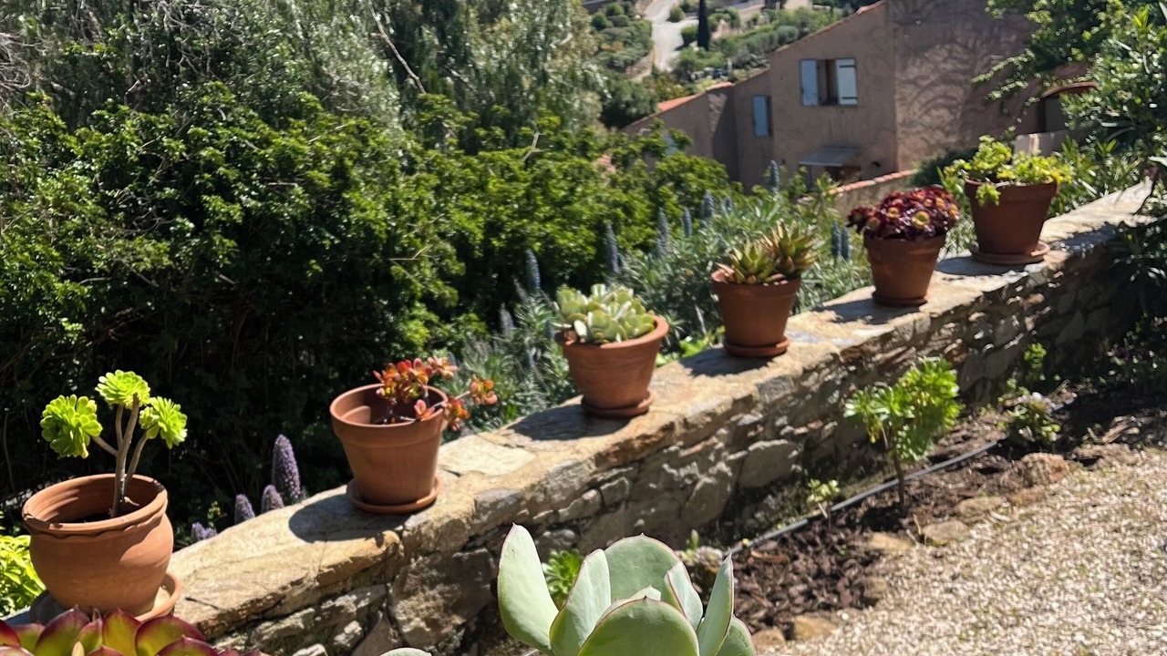 Photo of Outdoor in Le Lavandou