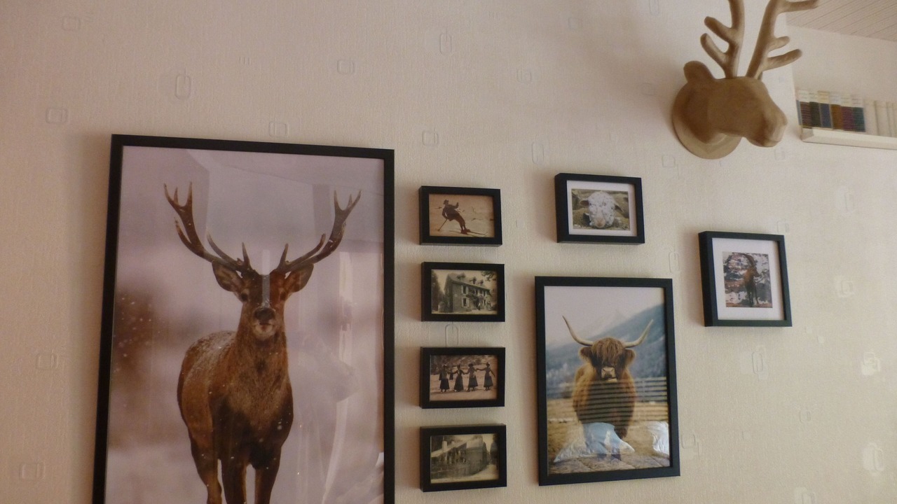 Photo of Others in Cauterets
