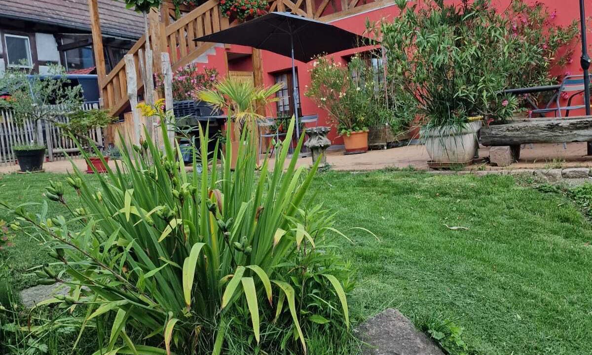 Photo of Outdoor in Albe