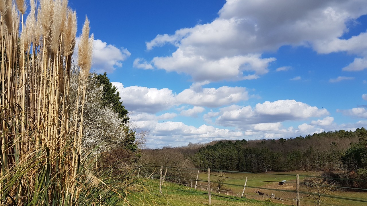 Photo of Outdoor in Fossemagne