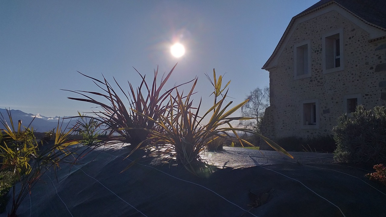 Photo of Outdoor in Saint-Vincent