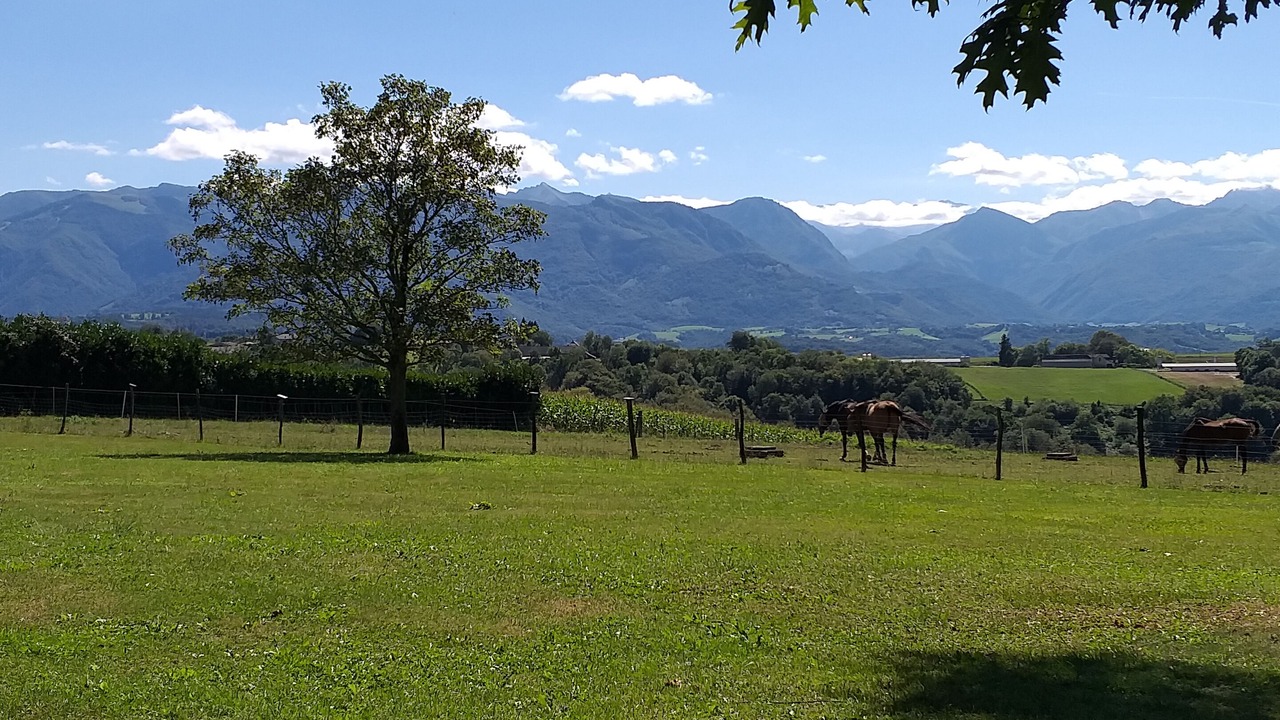 Photo of Outdoor in Saint-Vincent