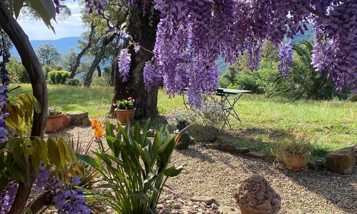 Photo of Outdoor in Collobrieres