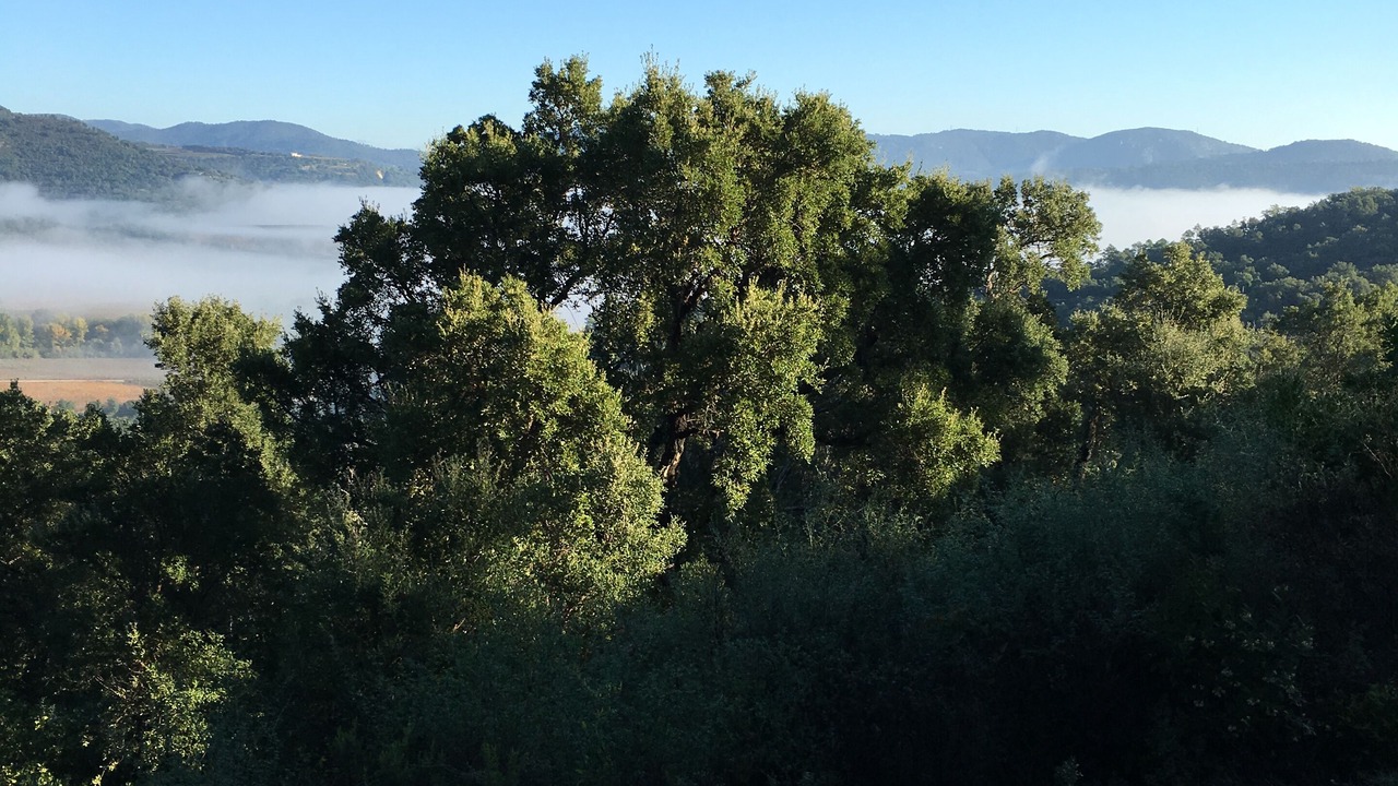 Photo of Outdoor in Collobrieres