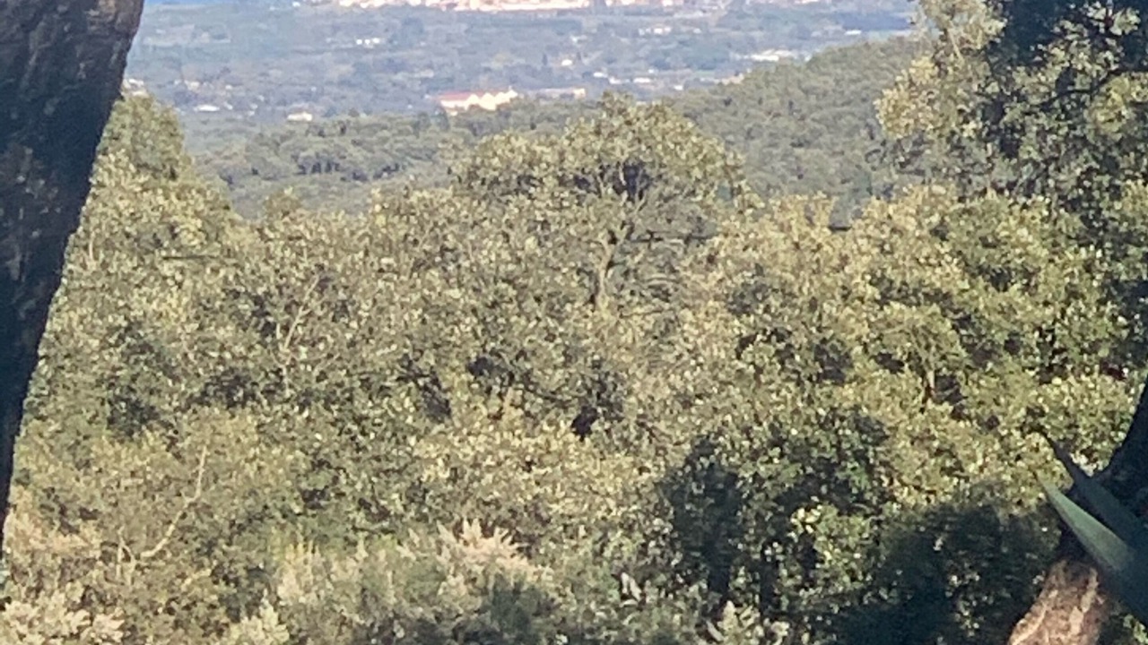Photo of Others in Collobrieres