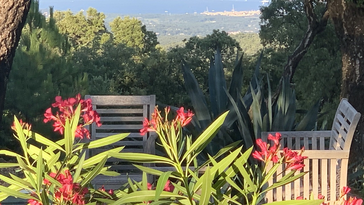 Photo of Outdoor in Collobrieres