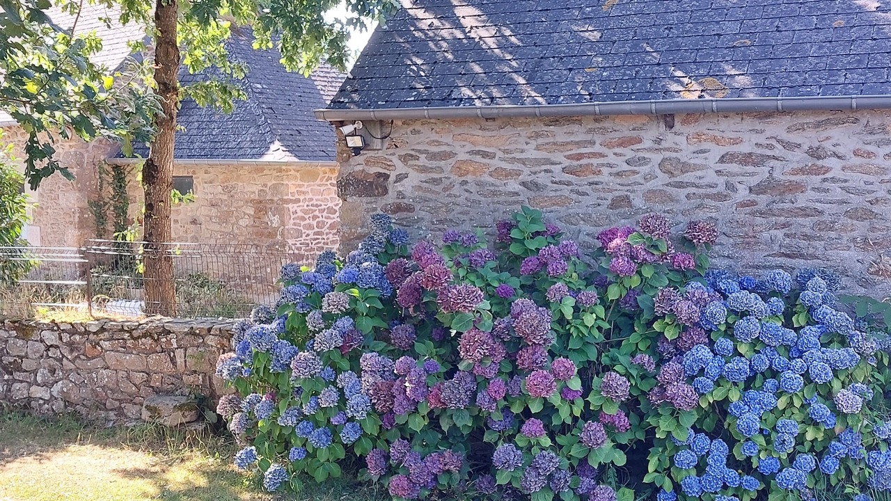 Photo of Outdoor in Saint-Fiacre