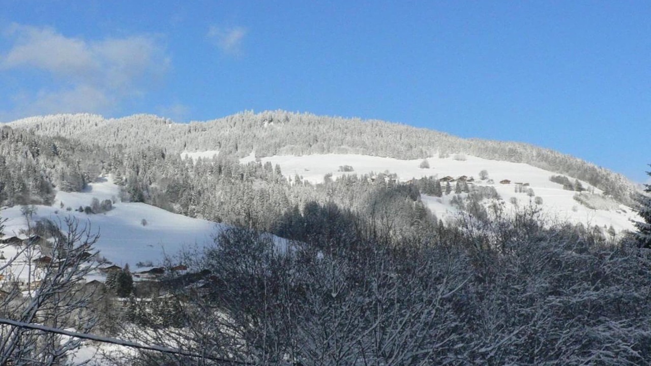 Photo of Others in Praz-sur-Arly